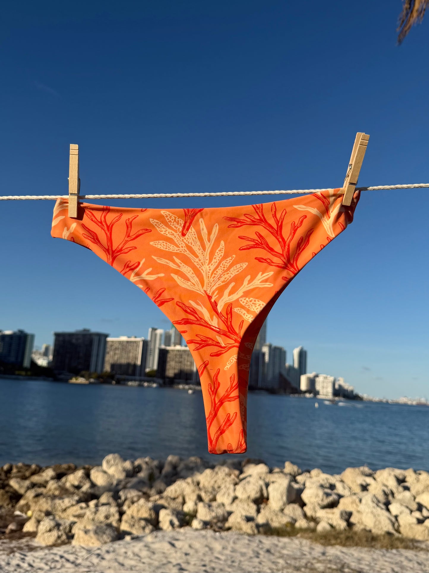 Coral Current Cheeky Bikini Bottom